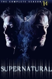 Supernatural Season 14