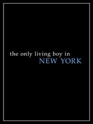 The Only Living Boy in New York (2017)