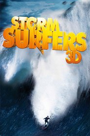 Storm Surfers 3D (2012)