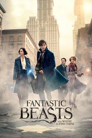 Fantastic Beasts and Where to Find Them (2016)