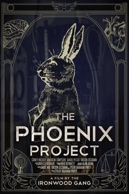 The Phoenix Project (2015)