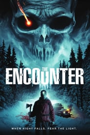 The Encounter (2015)