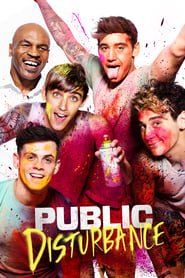 Public Disturbance (2017)