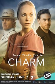 Love Finds You in Charm (2015)