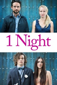 1 Night (2016)