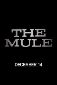 The Mule (2018)